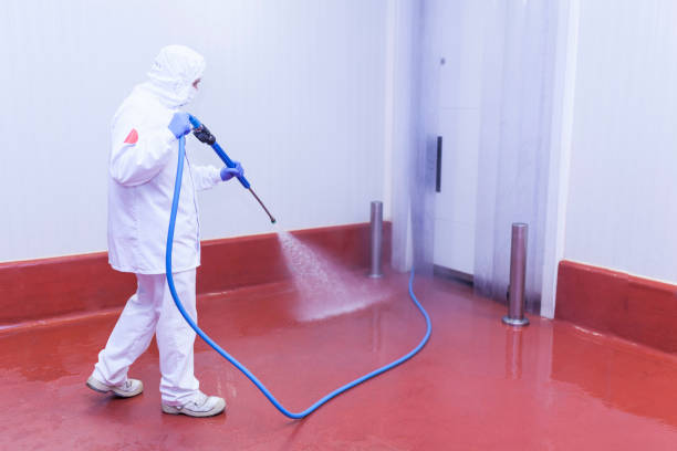 Best Window and Screen Pressure Cleaning in Clinton, IA