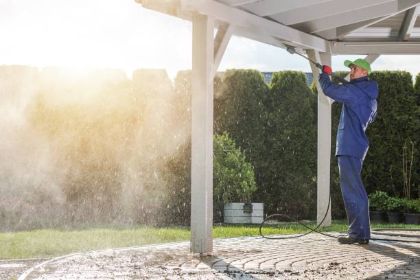 Best Vinyl Siding Pressure Washing in Clinton, IA