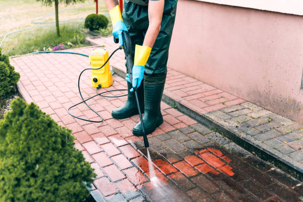 Best Roof Cleaning and Mildew Removal in Clinton, IA
