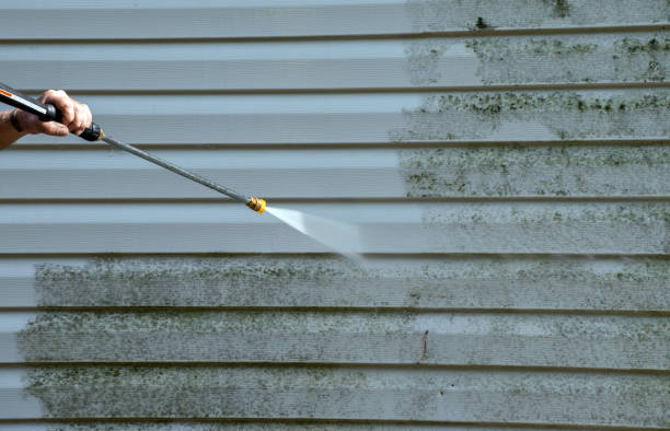 Best Driveway Cleaning and Restoration in Clinton, IA