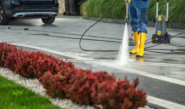 Best Fence Cleaning and Maintenance in Clinton, IA
